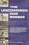The Uncommon Dog Breeds