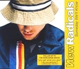 Someday We'll Know an album by New Radicals