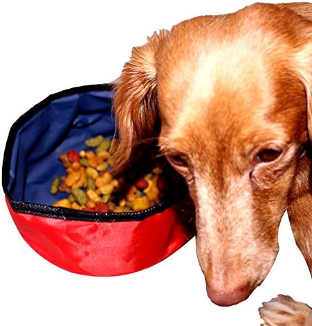 Pet Dogs Cats Food Water Bowl and Portable Collapsible Expandable Nylon Feeder By Uniquejewelz