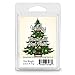 Primal Elements Holiday Wax Melt, 2.5 Ounce
