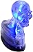 Lighted Skull Head Hood Ornament