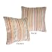 Roxy Chameleon Striped Decorator Pillow