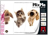 MixMe Friends 2012
