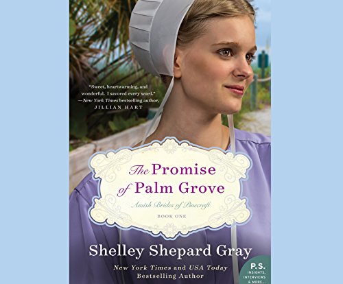 promise of palm grove the amish brides of pinecraft