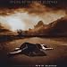 Pain Of Salvation-The Second Death of Pain of Salvation (CD)