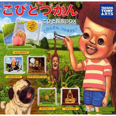 �J�v�Z��&nbsp;���тƂÂ���&nbsp;���тƍ̎�BOX&nbsp;�S5��Z�b�g