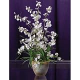 Shopzeus USA zeusd1-CALA-4269893 Dancing Lady Silk Orchid Arrangement
