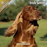\"Irish
