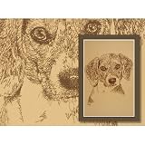 Beagle Lithograph by Stephen Kline