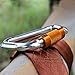 Tree Swing Hanging Strap - Heavy Duty, Water Resistant Polyester Strap + Carabiner - 5ft Long & 2'' Thick - 1200lb+ Weight Capacity - Weather Resistant - Weather Proof- Infographic Instructions.