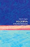 Algebra: A Very Short Introduction (Very Short Introductions)