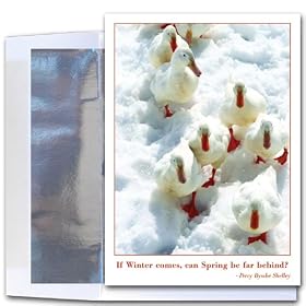 Winter Walk - New Year Holiday Cards, Box of 10 cards and envelopes