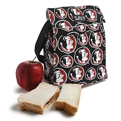 FSU Lunch Cooler Bag Insulated Florida State University NO Lead Lead-Free safe Lunchbox