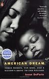 American Dream: Three Women, Ten Kids, and a Nation s Drive to End Welfare [Paperback]
