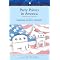 American elections