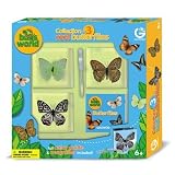 Bugs World - Collection of Real Butterflies preserved in resin.