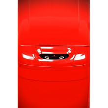 NST Nine Stars DZT-33-1R Infrared Touchless Automatic Motion Sensor Lid Open Trash Can, Red, 8.7-Gallon