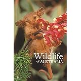 wildlife of australia