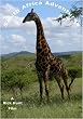 South Africa Adventures