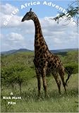 South Africa Adventures