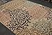 Contemporary Brown and Beige Modern Floral Flowers Area Rug (2' x 3')
