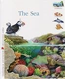 The sea