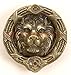 Heavy Duty Brass/Bronze Metal Antique Style LION DOOR KNOCKER