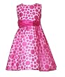 Rare Editions Girls 2-6x Burnout Dress