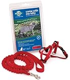 Petsafe Come With Me Kitty Harness and Bungee Leash, Large, Red