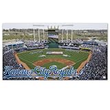 MLB Kansas City Royals Large Floor Mat
