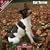 2009 Rat Terrier Wall Calendar