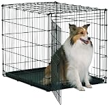 Midwest Starter Series Single-Door Drop-Pin Metal Dog Crate