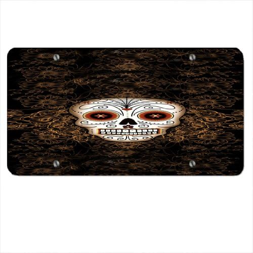 Spider Voodoo Skull - Car Tag License Plate