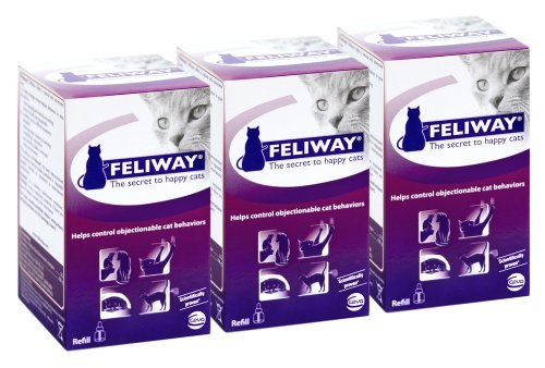 feliway refill 3 pack