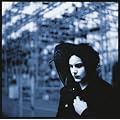 Blunderbuss