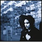 Blunderbuss