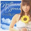 Brilliant Dream(DVD�t)