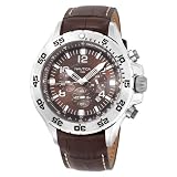Nautica Men's N17522G NST Chronograph Watch