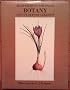 Botany: A Study of Pure Curiosity