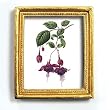 Fuchsia - Gold Frame Magnet with pop-out easel (2-3/4" x 2-1/2")
