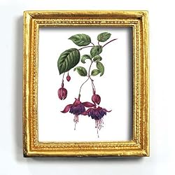 Fuchsia - Gold Frame Magnet with pop-out easel (2-3/4" x 2-1/2")