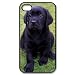 Black Labrador Retriever puppy Iphone 4,4s Case Plastic New Back Case Black Labrador Retriever puppy Iphone 4,4s Case Plastic New Back Case