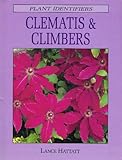 Clematis & climbers