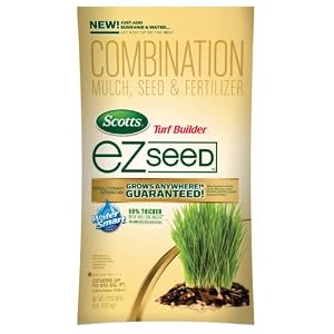 lawn grass seed
