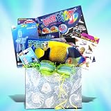 Under the Sea Gift Basket Perfect Birthday, Get Well, Holiday Gift Baskets for Kids