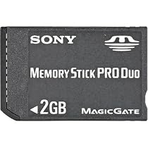 Sony 2 GB Memory Stick PRO Duo (MSX-M2GS) (Retail Package)