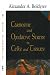 Carnosine and Oxidative Stress in Cells and Tissues by Alexander A. Boldyrev
