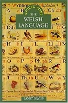Welsh Language (Pocket Guides)