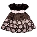Sweet Heart Rose Velvet Top Dress with Embroidered Flowers,Brown/Pink, 24 Months