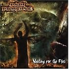 Waiting for the Flies by  Pain Principle 